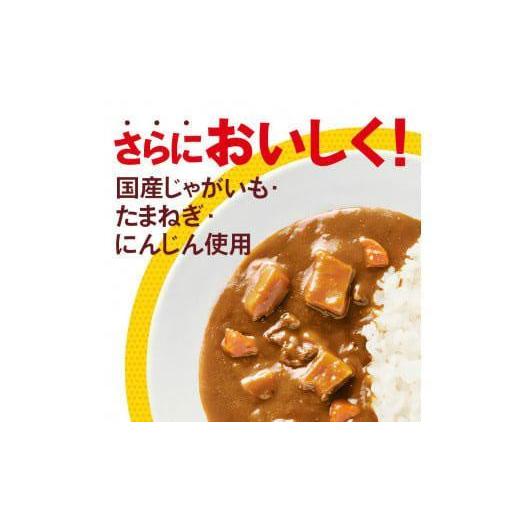 ふるさと納税 徳島県 徳島市 ボンカレーゴールド（大辛）30個×3回　計90個