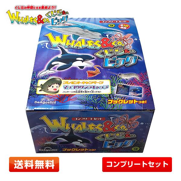 くじら＆Co.（アンドコ）ビッグ 16種コンプリートセットWHALES＆Co.-