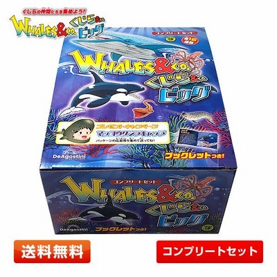 コンプリートセット】くじら＆Co.ビッグ 全16種セット WHALES＆Co