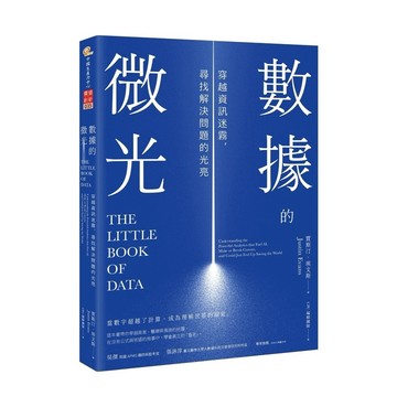 數據的微光：穿越資訊迷霧，尋找解決問題的光亮