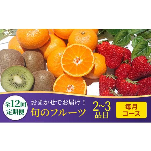 ふるさと納税 長崎県 南島原市 フルーツ定期便 旬の果物をお任せで2〜3品目お届け（2〜3品目×12回）季節の果物 詰め合わせ 果物 セット ／  南…