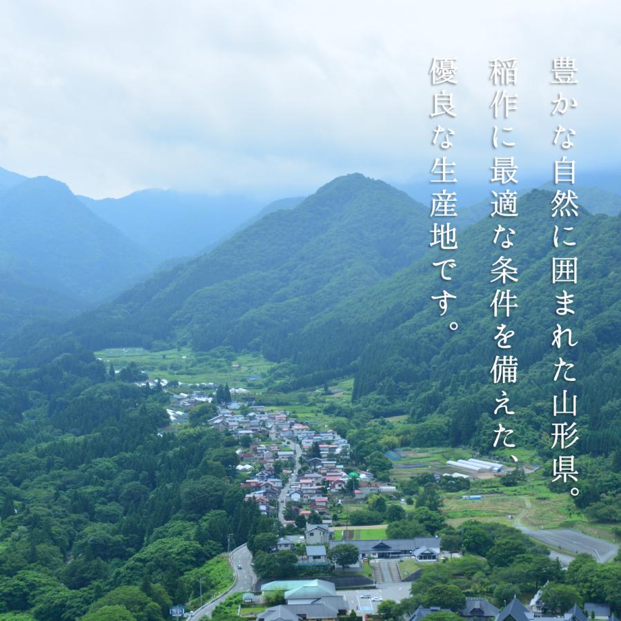 お米 10kg ひとめぼれ 米 新米 令和5年 白米 玄米 山形県産 送料無料