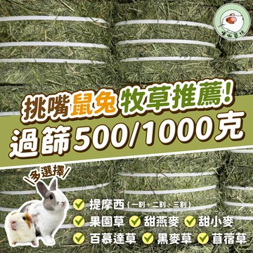 噗啾草坊🐹 七月新草 快速出貨🔥提摩西牧草 一割 二割 三割 百慕達 甜燕麥 甜小麥 苜蓿 果園草 天竺鼠 兔子 龍貓