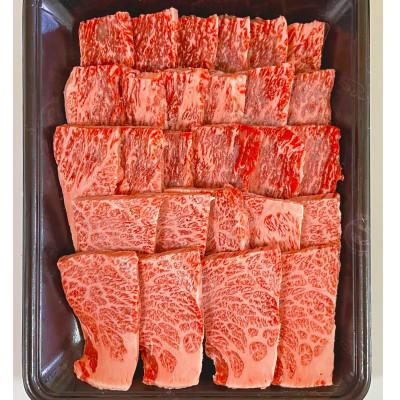 ふるさと納税 佐賀市 佐賀産和牛焼き肉セット500g×1パック