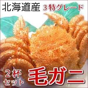 かに カニ 蟹 毛蟹 毛ガニ カニ  訳あり  北海道産 毛蟹 1杯あたり約400ｇ（約350-約400ｇ）・毛ガニ・