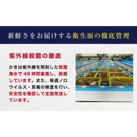 ふるさと納税 北海道 厚岸町 定期便 3ヶ月 北海道 厚岸産 牡蠣 Lサイズ 20個 (各回20個×3ヶ月分,合計60個) 殻付き 生食 カキナイフ付き かき カキ [No.5863-0…