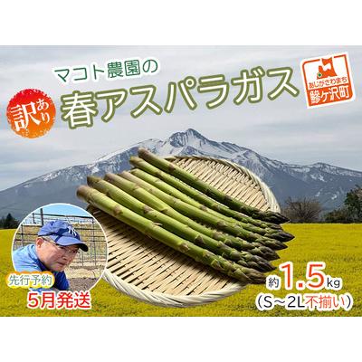 ふるさと納税 マコト農園の春アスパラガス！約1.5kg（S〜2L不揃い）青森県鰺ヶ沢町産 青森県鰺ヶ沢町