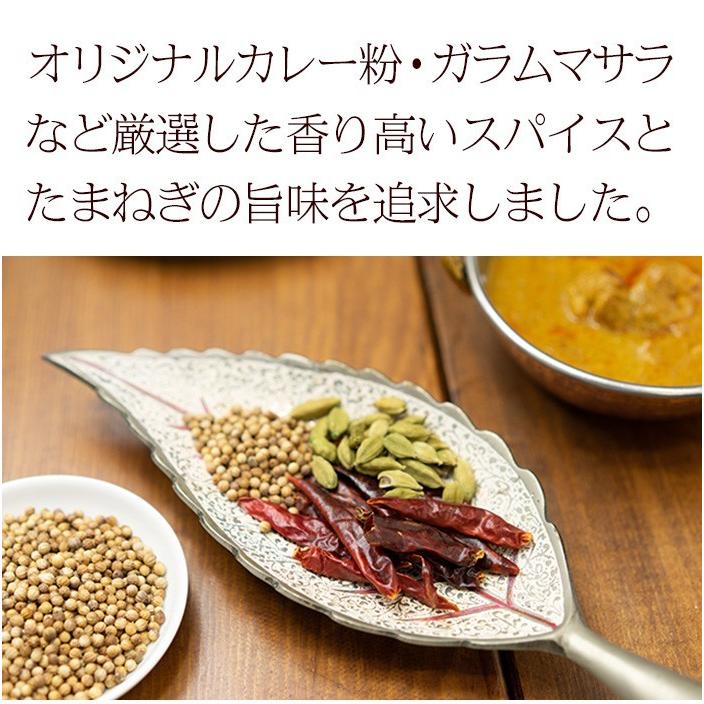 カレー レトルト スパイス香る本格派 インドカレー3食　DXセット 180g×3品 簡易包装 送料無料