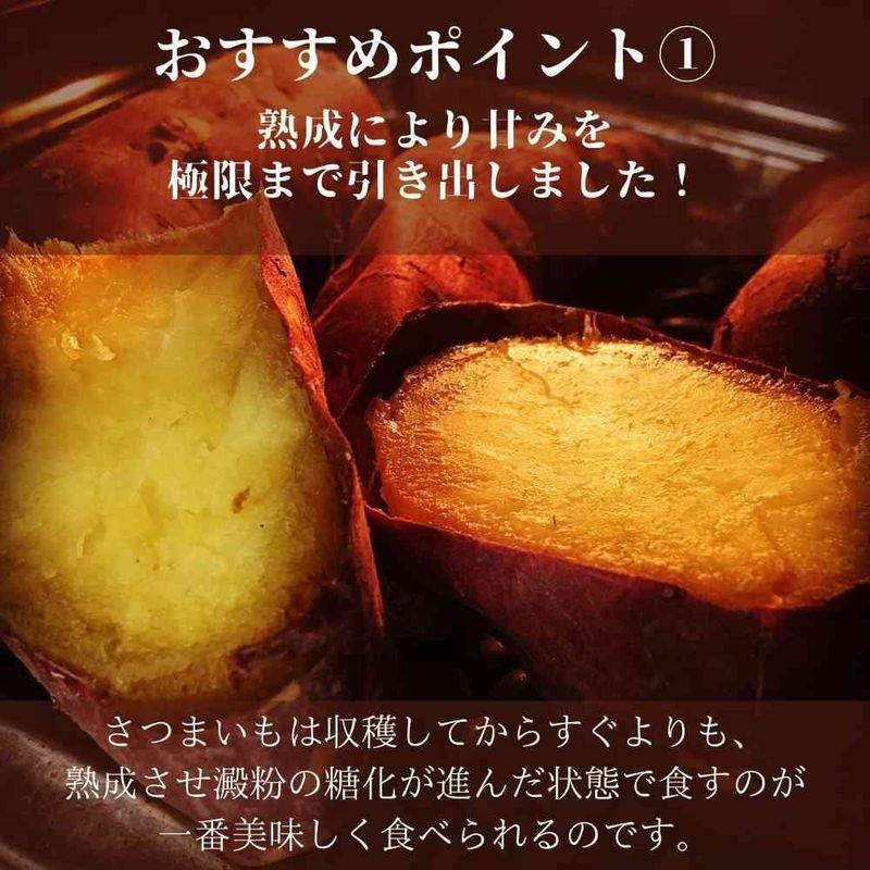 柿の木坂マルシェ さつまいも シルクスイート 茨城県産 千葉県産 Mサイズ 10kg 甘い しっとり