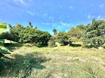 國道八新化出口｜20米臨路｜約4分6優質農地｜台南市新化區𦰡拔林段