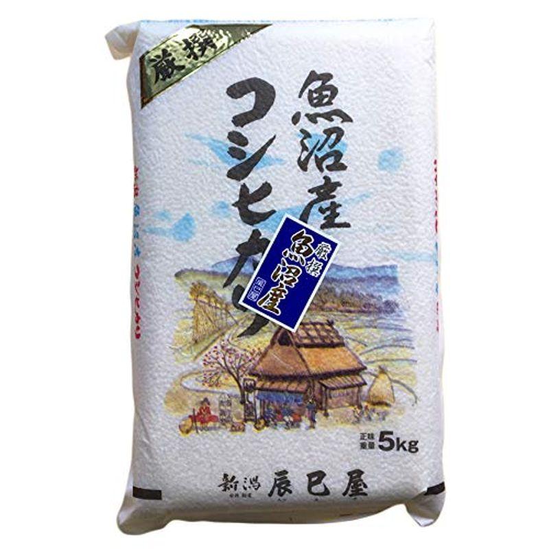 精米新潟県北魚沼産（旧広瀬・守門村）コシヒカリ 白米 5kg 令和3年産 新潟辰巳屋