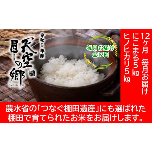 ふるさと納税 高知県 本山町 ★令和5年産★農林水産省の「つなぐ棚田遺産」に選ばれた棚田で育てられた 棚田米 土佐天空の郷 5kg食べくらべセット定期便 毎月…