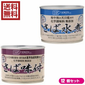 鯖 水煮 缶 創健社 さば缶 選べる１２個セット 全２種