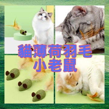 貓薄荷小老鼠｜現貨｜貓薄荷玩具｜貓草玩具｜老鼠｜啃咬玩具｜貓玩具｜逗貓神器｜羽毛｜貓草娃娃｜逗貓棒｜貓咪自嗨｜貓咪啃咬