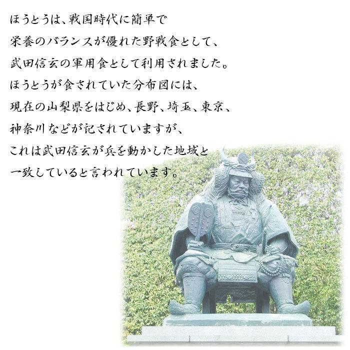 ほうとう 山梨 甲州名物 国産 生めん 無添加 無塩 おざら きしめん 郷土料理 常備食 非常食 2人前×2 200g