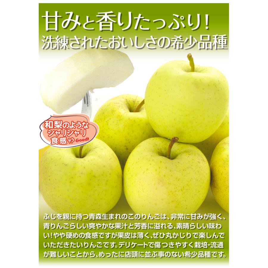 りんご 10kg 青森産 星の金貨 送料無料 食品