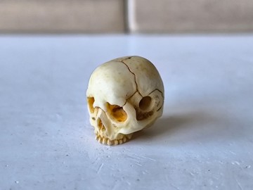 【有落款】【髑髏作家服部】【髑髏珠6】【原色霧面處理】髑髏、骷髏、骸骨、Skull、根付 netsuke 等