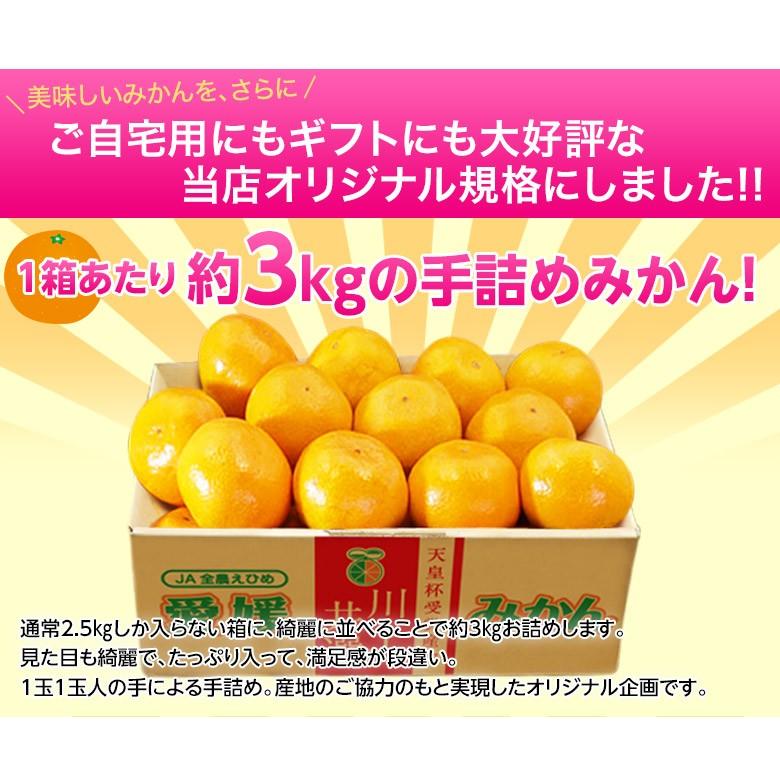 JAにしうわ 愛媛 西宇和産 川上みかん 大玉2Lサイズ 約3kg×3箱 送料無料 ギフト お歳暮 みかん