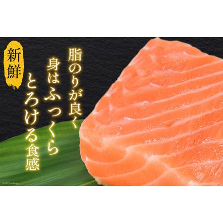 ふるさと納税 ノルウェー産 アトランティックサーモン 総重量800g(正味重量680g) [カネダイ 宮城県 気仙沼市 20562809] 魚 魚介類 サーモン 刺.. 宮城県気仙沼市