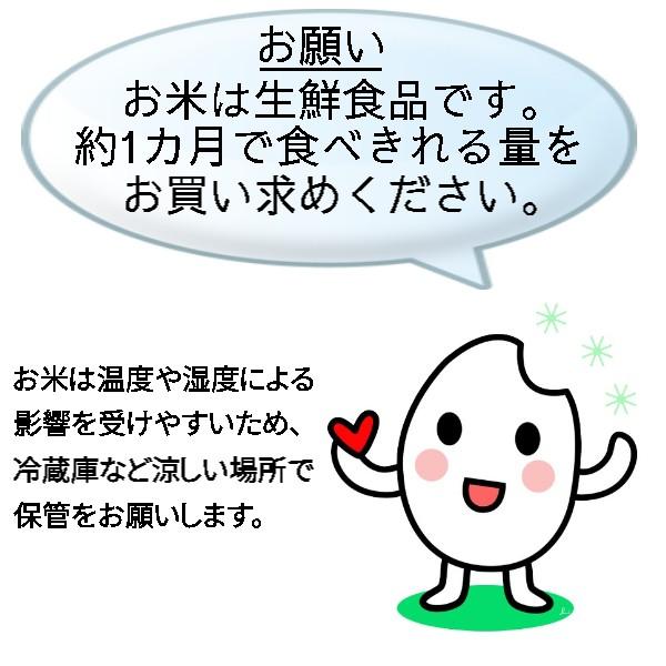 多古米 コシヒカリ 新米　玄米　5kg  一等米　千葉県多古産 こしひかり 　たこまい　オプション　10kg 20kg　選択可能