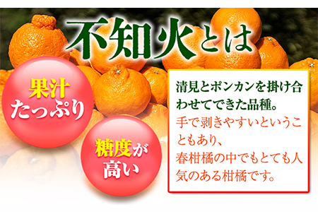 完熟 不知火(デコ) 約10kg S～2L 家庭用 サイズ混合 横川果樹園 《3月中旬-4月末頃より順次出荷》 和歌山県 日高川町 不知火 みかん 果物 柑橘 フルーツ 送料無料---wshg_ykkd_bc3_22_18000_10kg---