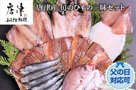 グルメ大賞受賞 唐津産 旬のひもの三昧セット 唐津産 旬サバ 旬アジみりん 金時鯛一夜干し(旬の白身魚干物)呼子 イカ一夜干し 大分産真イワシ丸干し トロあじ開き 6種17尾 干物セット 干物 「2022年 令和4年」