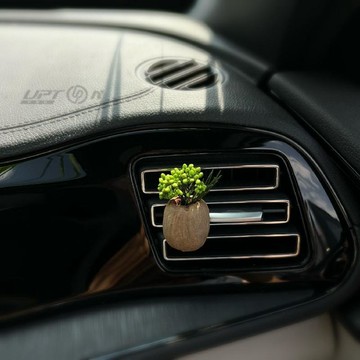 新款【upton】天然車載果實插花器汽車出風口香薰擴香器高級感車內香氛森系飾品