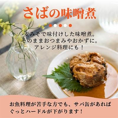 ふるさと納税 松浦市 さば味噌煮缶セット(12缶)