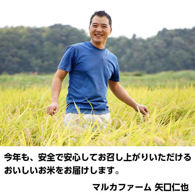 米 こしひかり 玄米 令和５年産 矢口さんちの 天の川のめぐみ 茨城コシヒカリ　30kg精米後27kg 精米無料 冷めてもおいしい  お取り寄せ