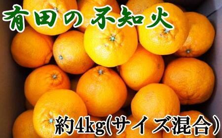 有田産不知火約4kg（2L～5Lサイズ混合）