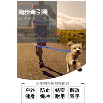 寵物防爆沖狗狗跑步牽引繩遛狗繩子小型犬中型犬運動狗鏈解放雙手
