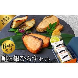 ふるさと納税 鮭と銀ひらすセット(鮭味噌漬け2切入×1袋、鮭焼き漬け2切入×1袋、銀ひらす塩麹漬け2切入×1袋)【配送不可地域：離島.. 新潟県関川村