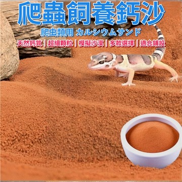 陸龜驛站｜爬沙 爬蟲鈣沙 爬蟲造景飼養砂 瘤尾 守宮 蜥蜴 爬蟲 爬寵 玉米蛇 球蟒 豬鼻蛇 沙子 佈景