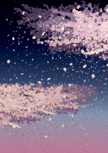  書籍   開運御朱印帳 夜桜 (大判)