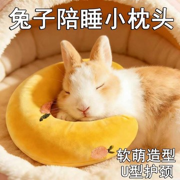 兔子解悶玩具枕頭趴趴墊冬天保暖睡覺窩啃咬磨牙抱枕小寵物日用品