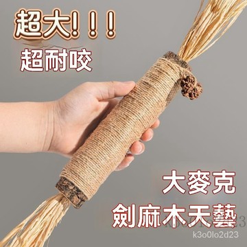 【現貨】貓咪磨牙棒 超大木天蓼棒 貓咪磨牙棒 貓玩具 磨牙潔齒棒 潔牙棒 木天蓼磨牙棒 貓薄荷 蟲癭果 貓咪紓壓 木天寥