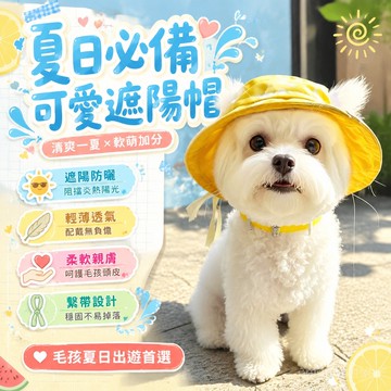 狗狗帽子可愛露耳朵貓咪夏季防曬帽太陽帽泰迪比熊柯基遮陽漁夫帽 寵物帽子 寵物遮陽帽