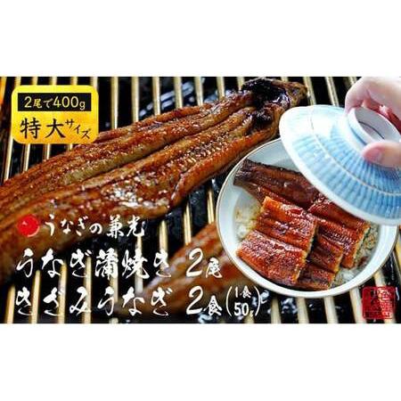 ふるさと納税 愛知県三河一色産うなぎ蒲焼き特大サイズ2尾＋きざみうなぎ2食入りセット(長焼き2尾で400g.. 愛知県西尾市