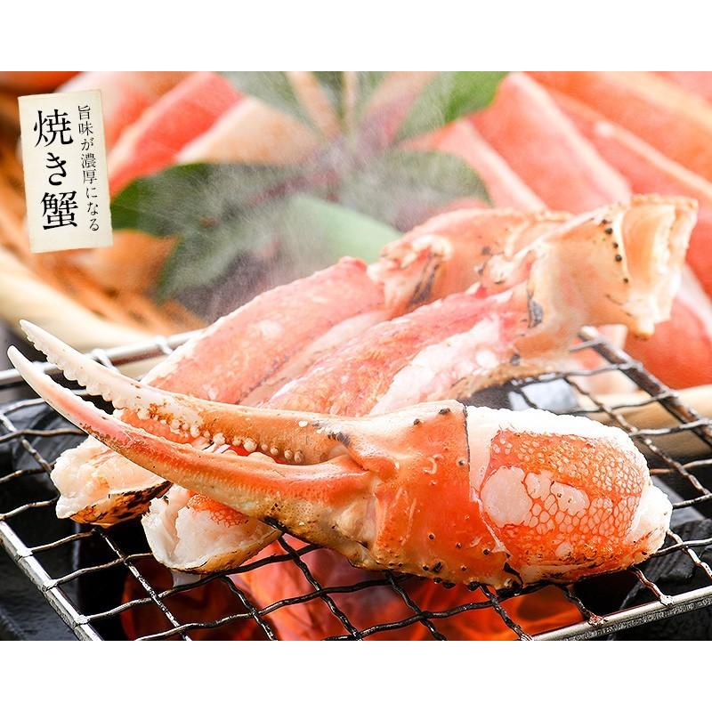 かに カニ 蟹 ズワイガニ お刺身OK 生 カット済み 1.2kg（600g×2箱 総重量1.5kg）ずわい 鍋 しゃぶしゃぶ 刺身 冬グルメ 冬ギフト