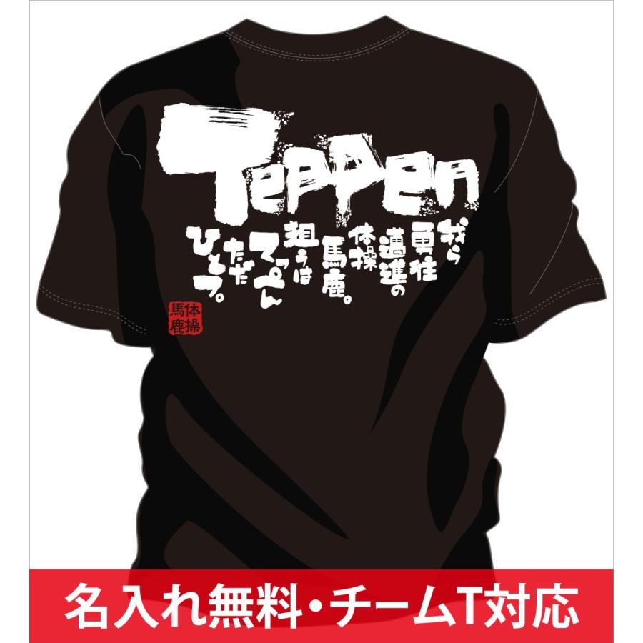 体操 Tシャツ 体操 練習着 チーム 部活 ジュニア キッズ 対応