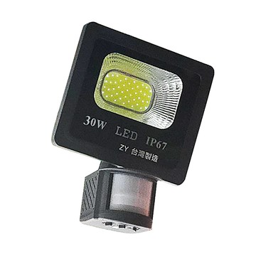 KingNet 監視器周邊 台灣製 防盜感應燈   30W 全電壓 LED可調式 投射燈  戶外防水 IP67 工程級 紅外線感應器