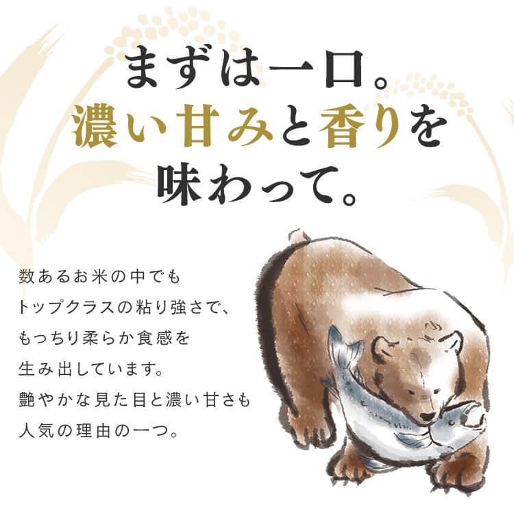 米 1.5kg 送料無料 北海道産ゆめぴりか 令和5年度産 生鮮米 ゆめぴりか 低温製法米 お米 白米 一人暮らし アイリスオーヤマ