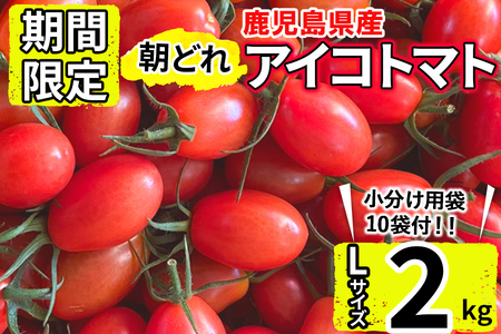 鹿児島県産 内村ファームの朝どれアイコトマト(2kg) a0-303