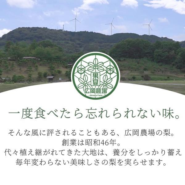 広岡農場の王秋梨（おうしゅうなし）2.5kg詰（3〜5玉入） 鳥取県産 なし 訳あり（ご自宅用） 送料無料（北海道・沖縄を除く）