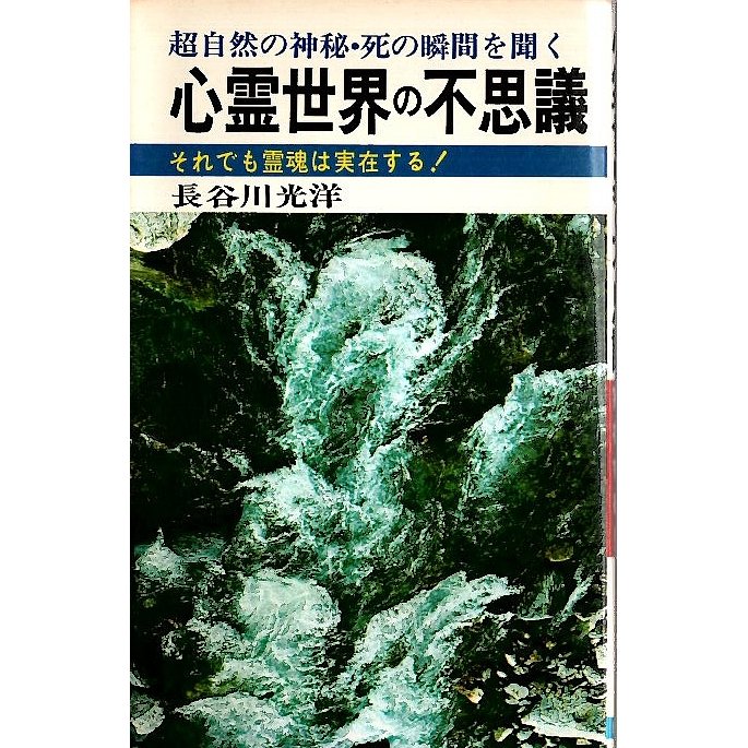 心霊世界の不思議 ―それでも霊魂は実存する!  長谷川光洋