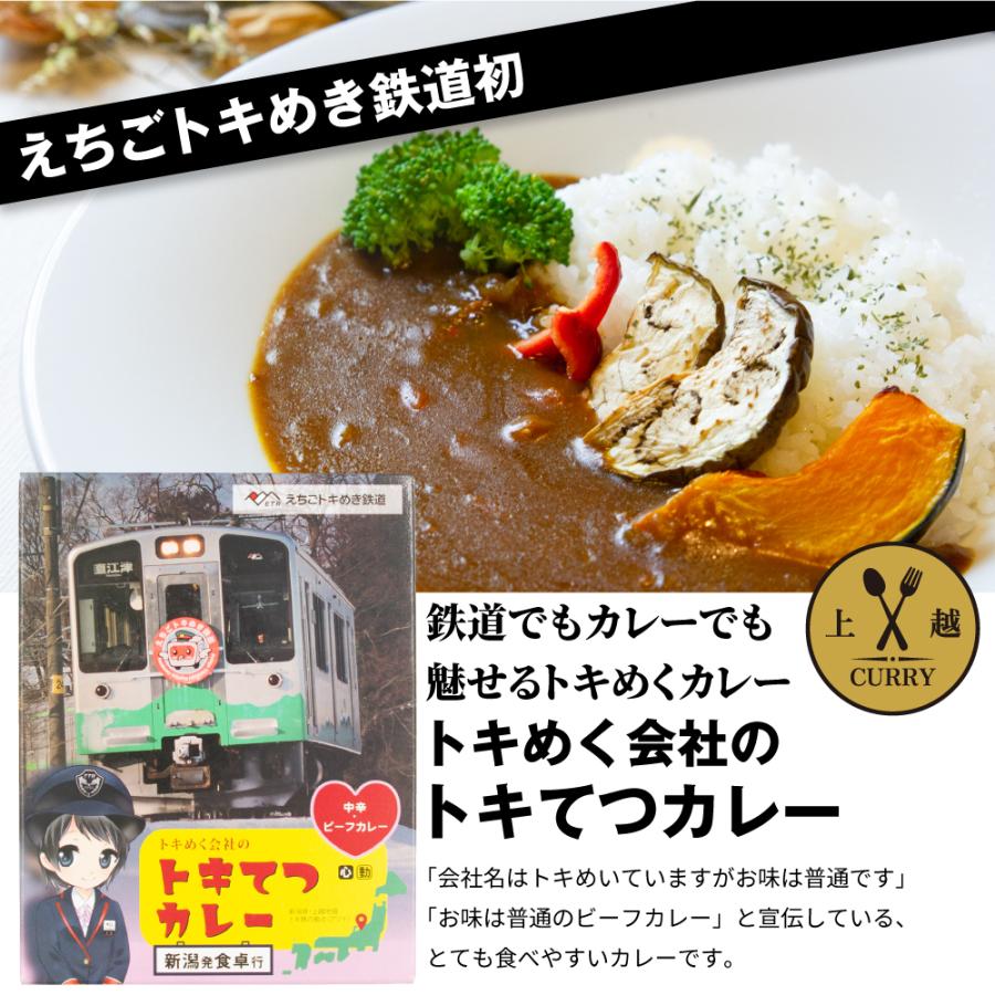 [新潟県上越市]ご当地カレー 選べる！食べ比べセット（2食入り）