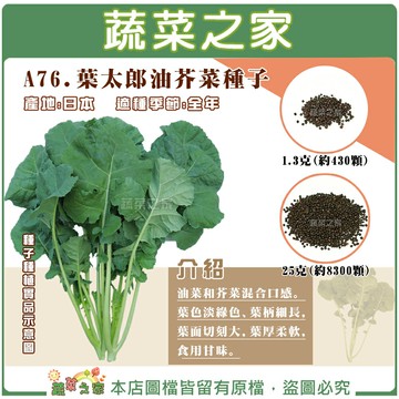 【蔬菜之家】A76.葉太郎油芥菜種子 (共2種包裝可選)