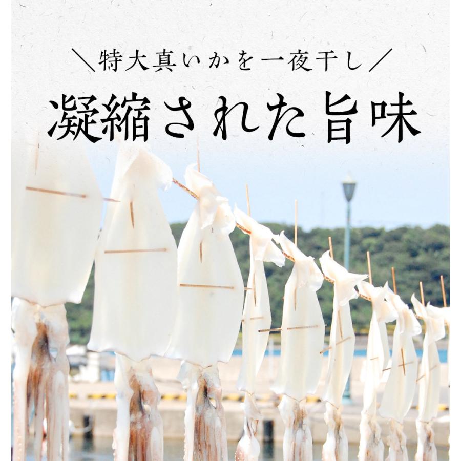 真いか 一夜干し 特大サイズ2枚 北海道産 稚内 スルメイカ 烏賊 やわらか 在宅 母の日 父の日 敬老 中元 お歳暮 ギフト