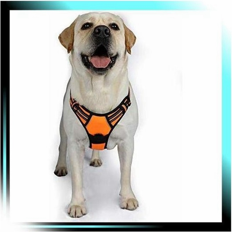 S オレンジ Rabbitgoo 犬 ハーネス 小型犬 8 16kg 引っ張り防止 通販 Lineポイント最大get Lineショッピング
