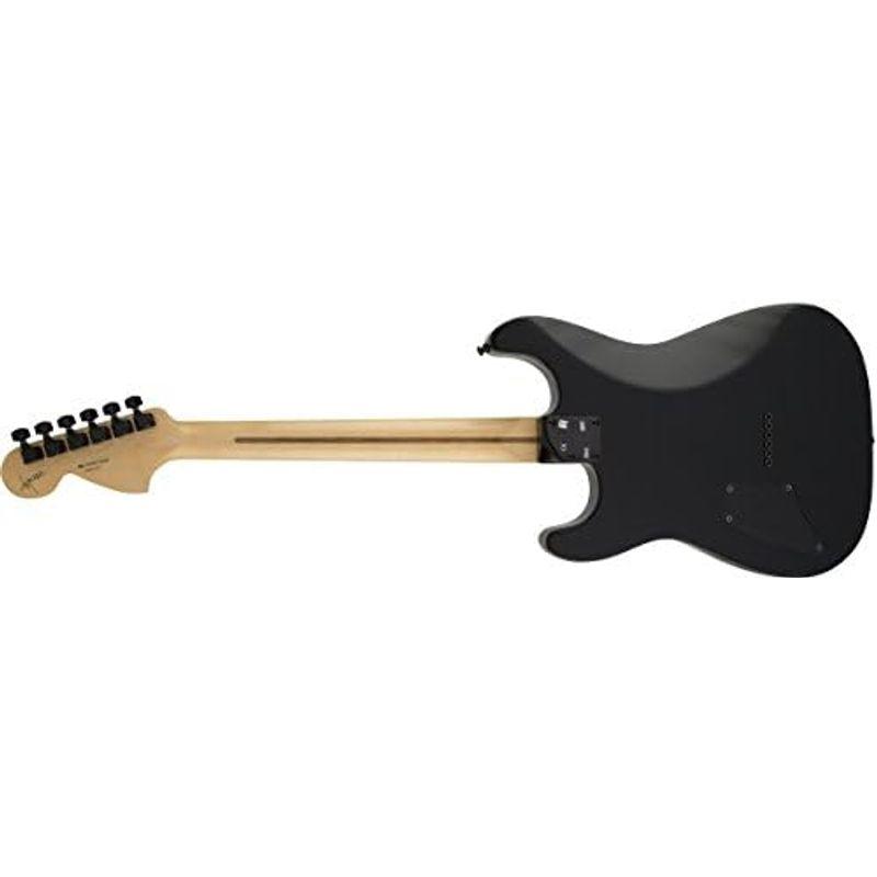 エレキギター Fender JIM ROOT STRATOCASTER?